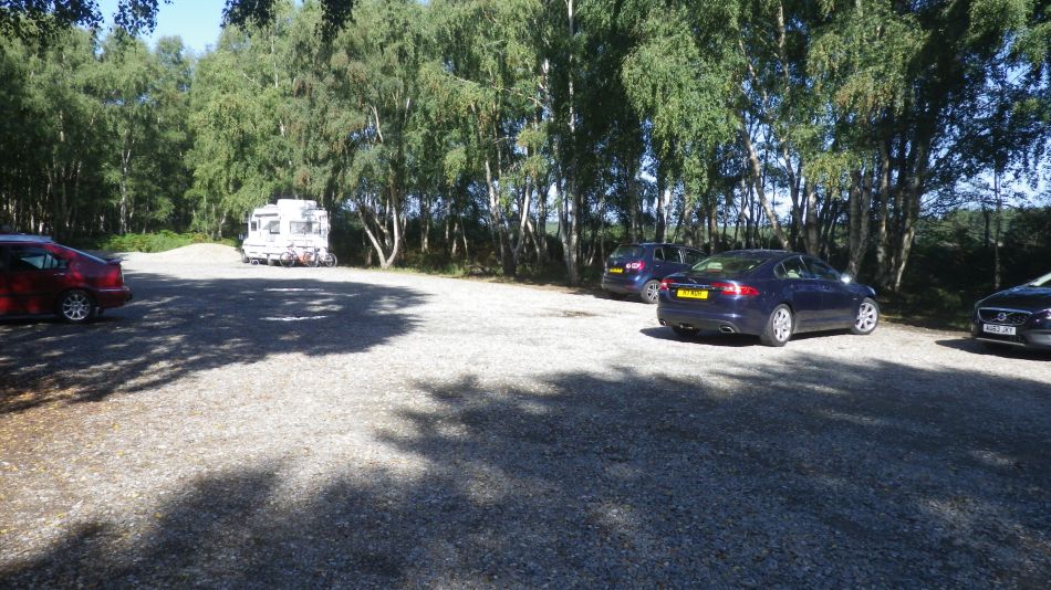 2020-08-20 02 Sandlings 5 - Rendlesham Forest.jpg